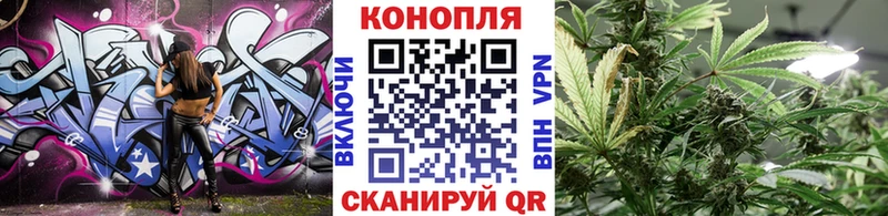 Галлюциногенные грибы Иланский