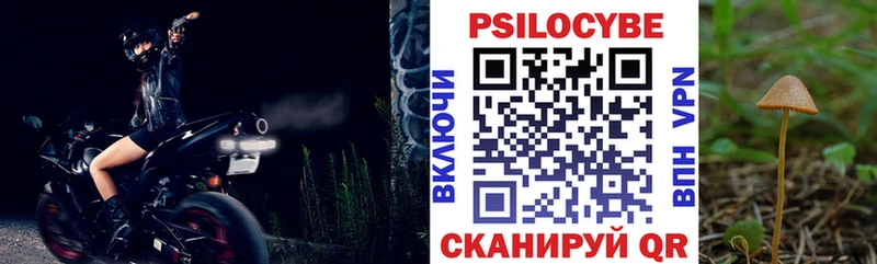 закладки Иланский Псилоцибиновые грибы Psilocybine cubensis